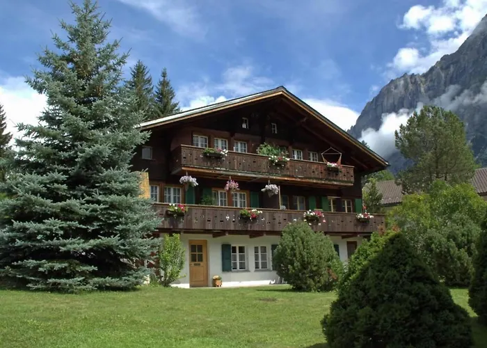 Heidi By Interhome 公寓 *