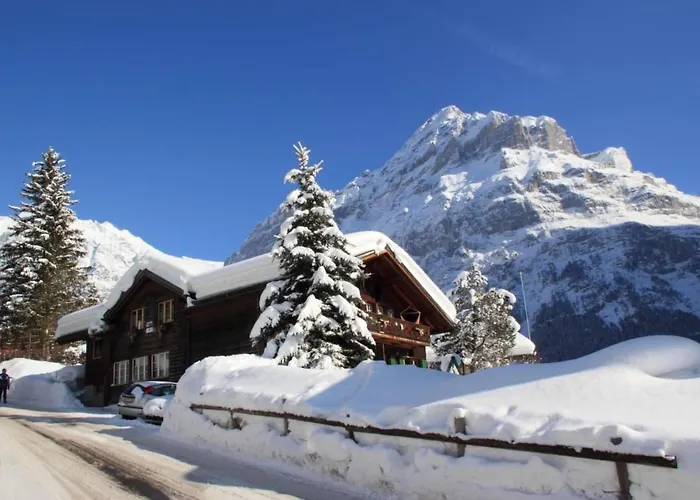 公寓 Heidi By Interhome 格林德瓦